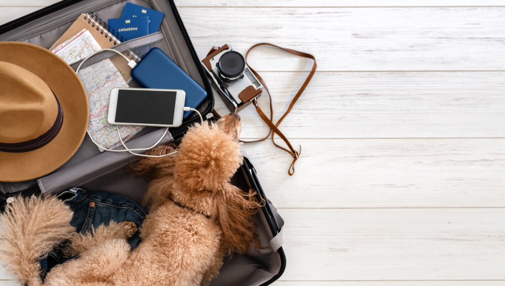 Use Travel-Specific Tools And Accessories